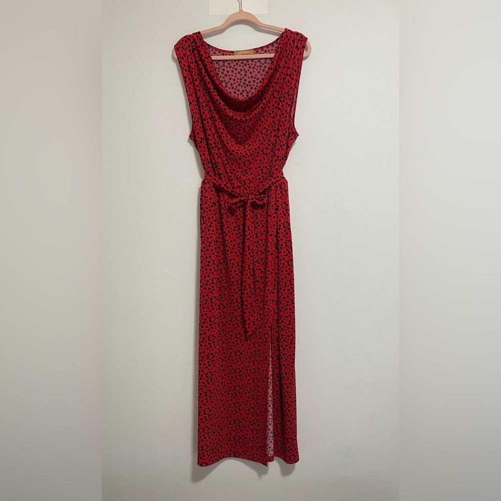 Ellen Tracy Red and Black Maxi Dress